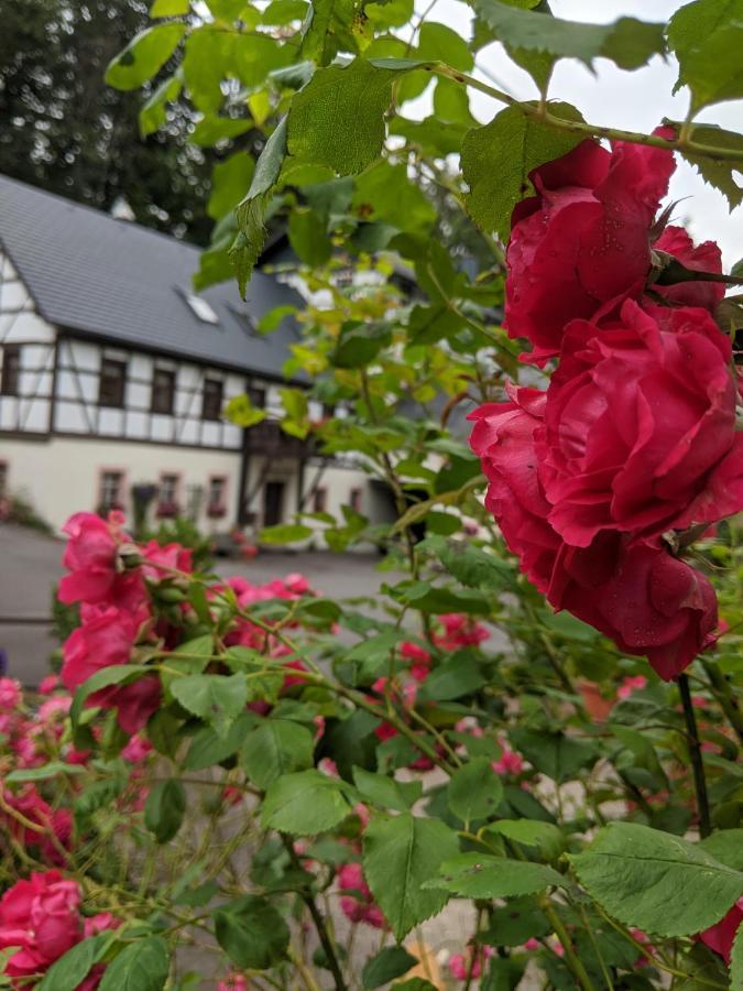 Viertel'S Muhle Apartman Bodenberg Kültér fotó